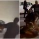 watch:-five-arrested-in-valencia-after-racist-attack-leaves-moroccan-man,-31,-with-shattered-jaw