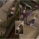 watch:-three-highway-robbers-arrested-in-barcelona-after-guardia-civil-officer-is-shot-four-times-in-hail-of-gunfire