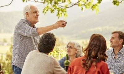 spain-is-named-europe’s-top-retirement-destination-as-british-buyers-return-to-the-costa-del-sol