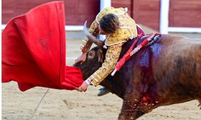 alvaro-serrano,-herido-grave-en-su-arriesgada-y-deslucida-encerrona