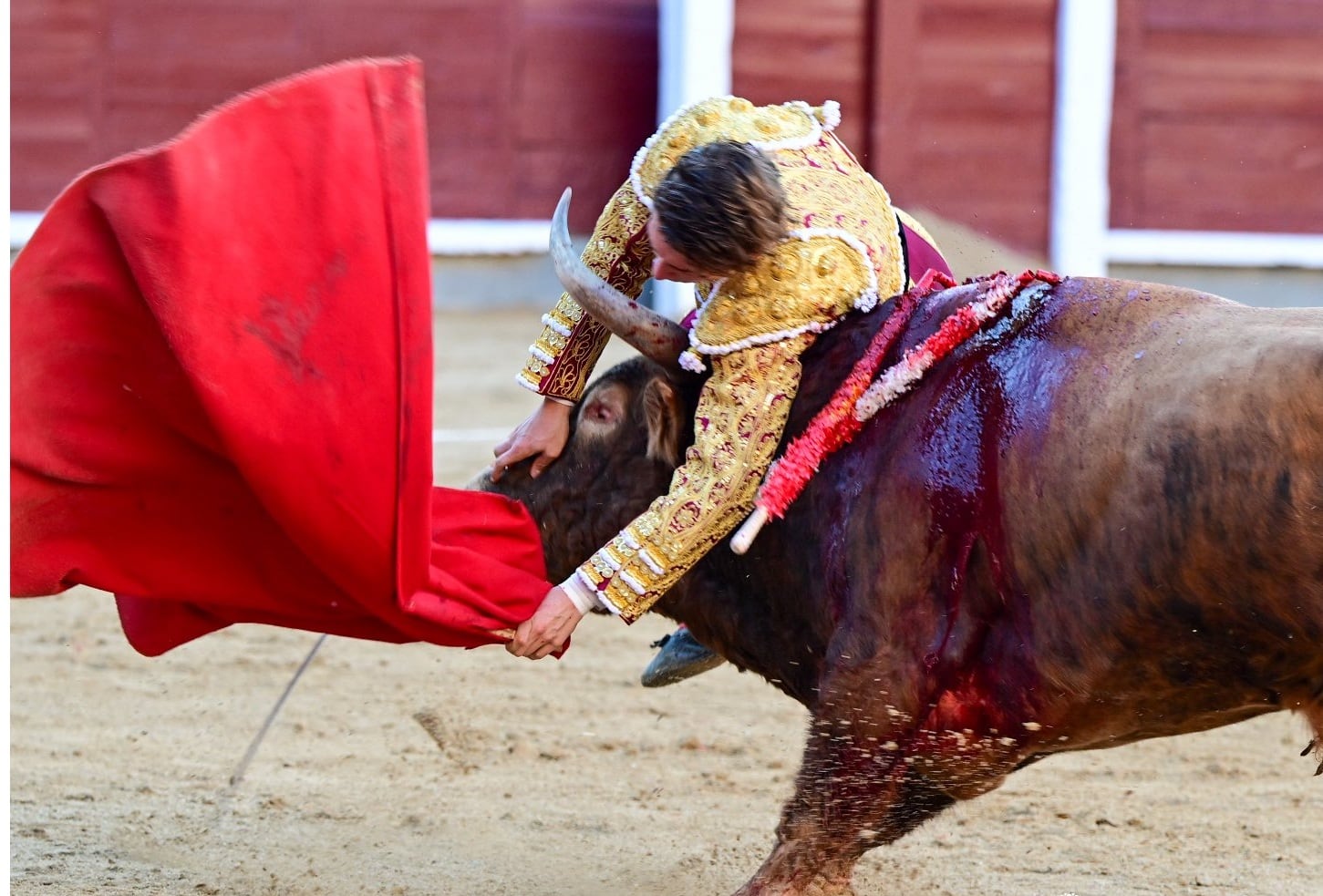 alvaro-serrano,-herido-grave-en-su-arriesgada-y-deslucida-encerrona