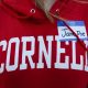 experts-warn-of-‘legal-loophole’-surrounding-cornell-7-sexual-assault-case