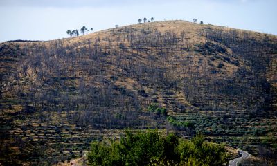 el-incendio-de-bejis,-que-quemo-18.538-hectareas-en-2022,-contamino-mas-que-la-ciudad-de-valencia-en-un-ano