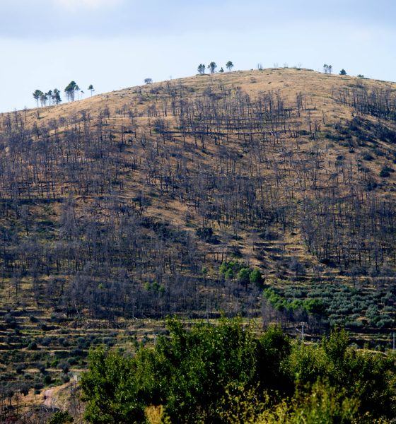 el-incendio-de-bejis,-que-quemo-18.538-hectareas-en-2022,-contamino-mas-que-la-ciudad-de-valencia-en-un-ano