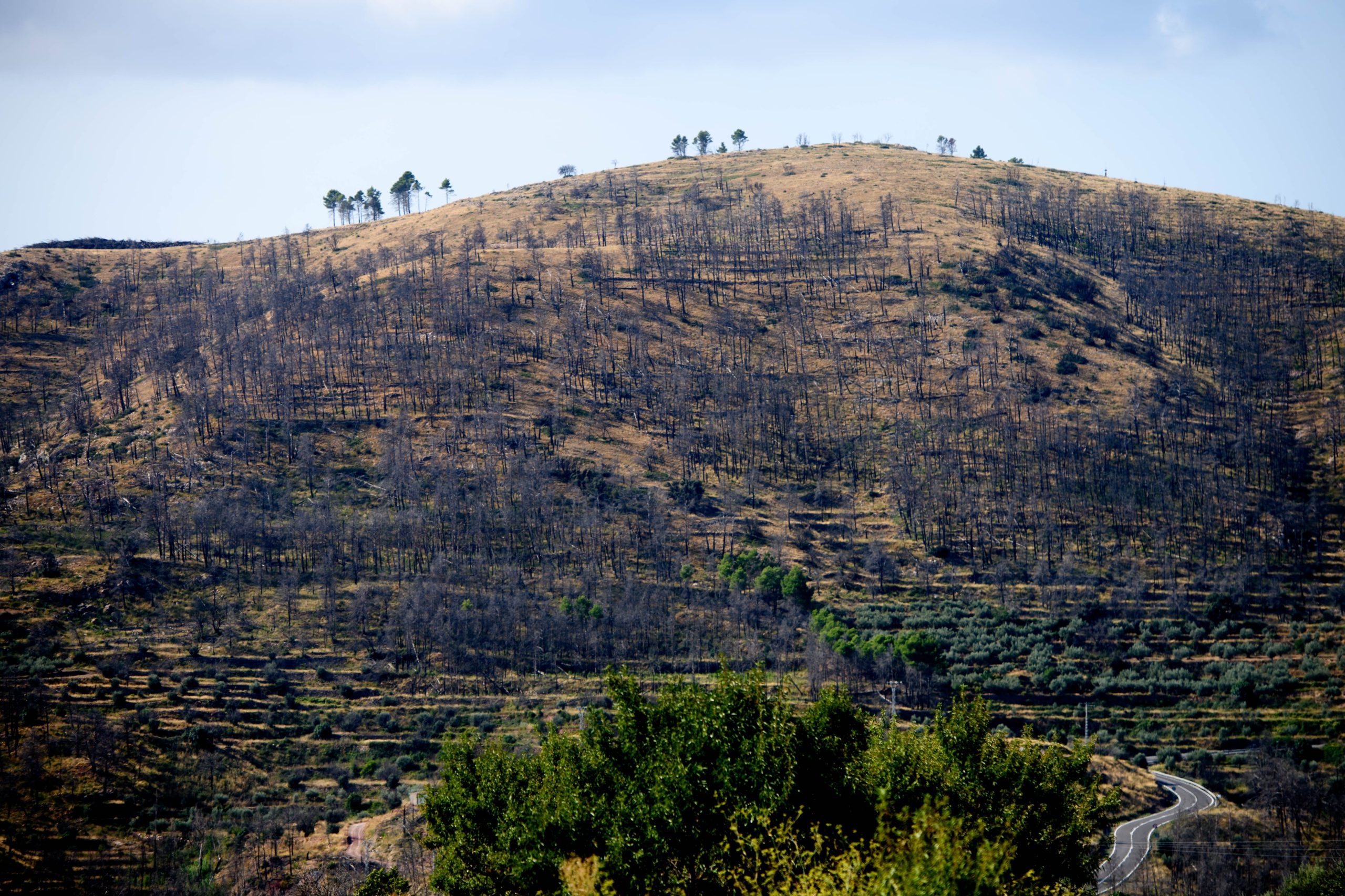 el-incendio-de-bejis,-que-quemo-18.538-hectareas-en-2022,-contamino-mas-que-la-ciudad-de-valencia-en-un-ano