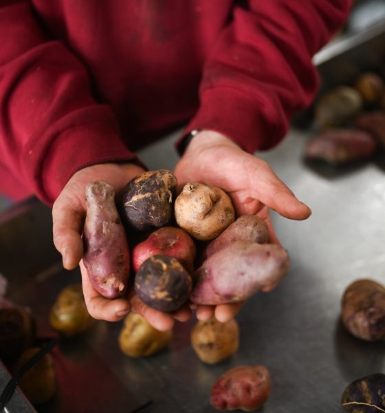 no-small-potatoes:-andean-tubers-rescue-the-economy-of-a-remote-village-in-argentina