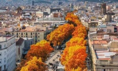sunshine-sequel:-autumn-becomes-the-new-summer-in-spain-as-more-expats-travel-later-in-the-year
