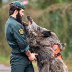 spain’s-elite-guardia-civil-unit-welcomes-a-new-colleague-with-a-wild-side