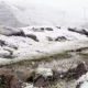 sierra-nevada-turns-white-early