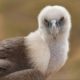 2027-holiday-trend-birdwatching