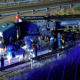 ten-valuable-horses-hurt-in-horror-crash-as-lorry-overturns-on-spain’s-a-5-motorway