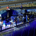 ten-valuable-horses-hurt-in-horror-crash-as-lorry-overturns-on-spain’s-a-5-motorway