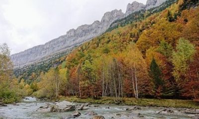 must-visit:-12-spectacular-places-in-spain-to-catch-the-autumn-colours-before-the-leaves-fall