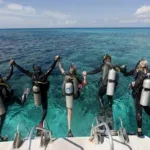cabo-de-palos-diving-expert-declares-it-europe’s-best-underwater-destination