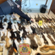 24-parrot-eggs-hidden-in-woman’s-bra-and-two-are-arrested-in-gran-canaria