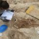 surviving-in-the-muslim-quarter:-a-hundred-skeletons-shed-new-light-on-a-medieval-minority-in-spain