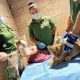 estepona-park-welcomes-two-atlas-lion-cubs
