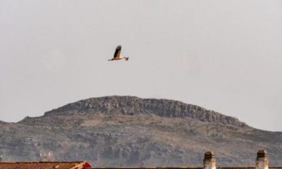 in-pics:-ronda-like-you’ve-never-seen-it-before-–-an-expat-photographer-captures-the-quirky-side-of-the-clifftop-town