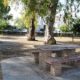 mijas-barbecue-warning-as-wildfire-fears-return