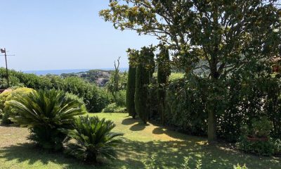 how-much-value-does-a-garden-add-to-a-property?