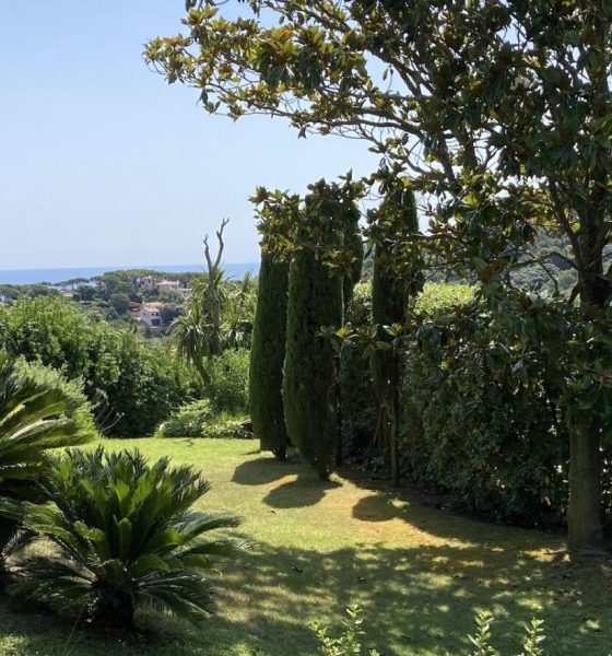 how-much-value-does-a-garden-add-to-a-property?
