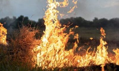 exclusive:-‘it-could-have-ended-in-tragedy’:-german-family’s-campervan-nightmare-as-rental-firm-leaves-them-stranded-with-terrifying-fire-inching-closer-and-closer