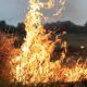 exclusive:-‘it-could-have-ended-in-tragedy’:-german-family’s-campervan-nightmare-as-rental-firm-leaves-them-stranded-with-terrifying-fire-inching-closer-and-closer