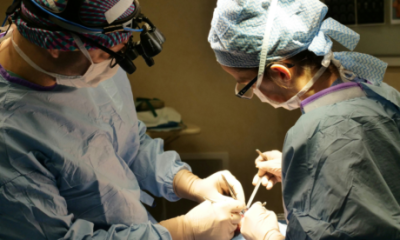 madrid-woman-awarded-e35,000-in-landmark-case-after-partner’s-botched-vasectomy-leaves-her-unexpectedly-pregnant