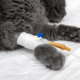 spain-pet-alert:-common-hair-loss-treatment-can-kill-cats-and-dogs