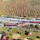 toledo-train-disaster:-people-&-their-testimonies
