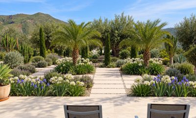 five-ways-to-make-your-garden-more-appealing-to-property-buyers