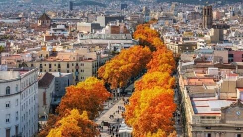 Visitar otono barcelona qtxycyy6pvmgfbndo6uzqjsam80ihwjslfti55h7j8